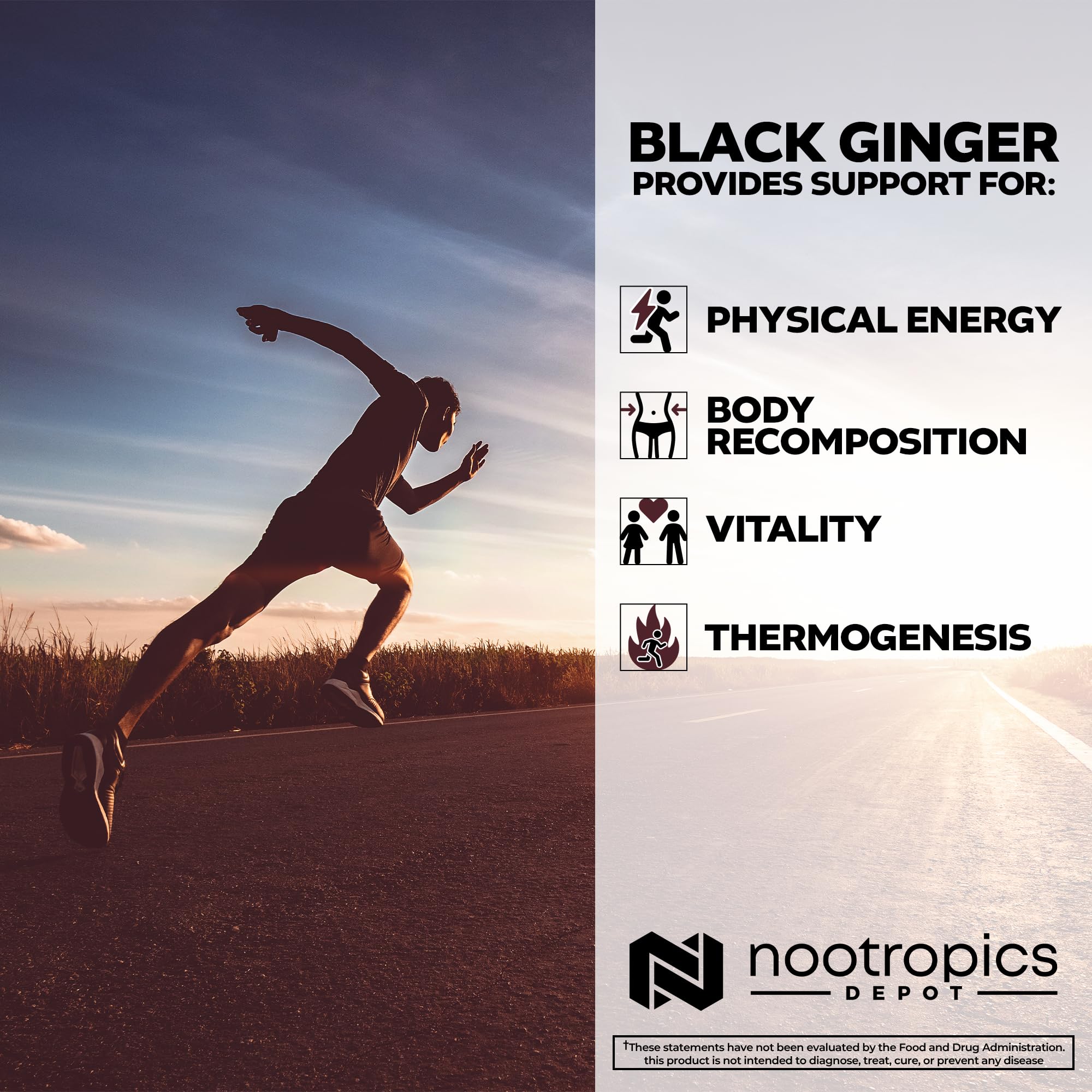Black Ginger Extract Capsules – 10% 5,7-Dimethoxyflavone | Nootropics Depot | 60 Count