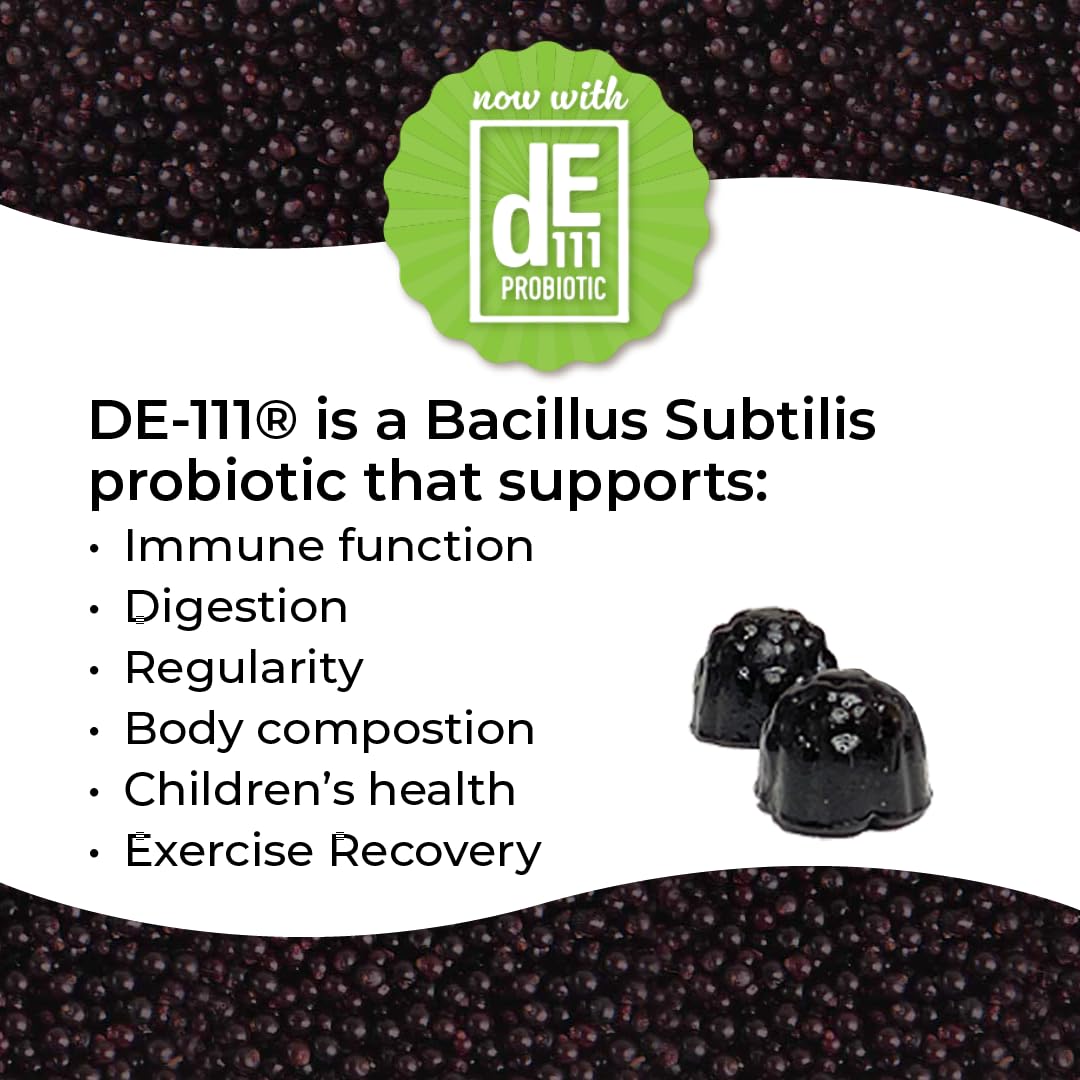 Norm's Farms Organic Elderberry Gummies - Daily Immune Support for Adults & Kids