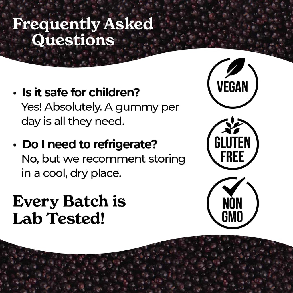 Norm's Farms Organic Elderberry Gummies - Daily Immune Support for Adults & Kids