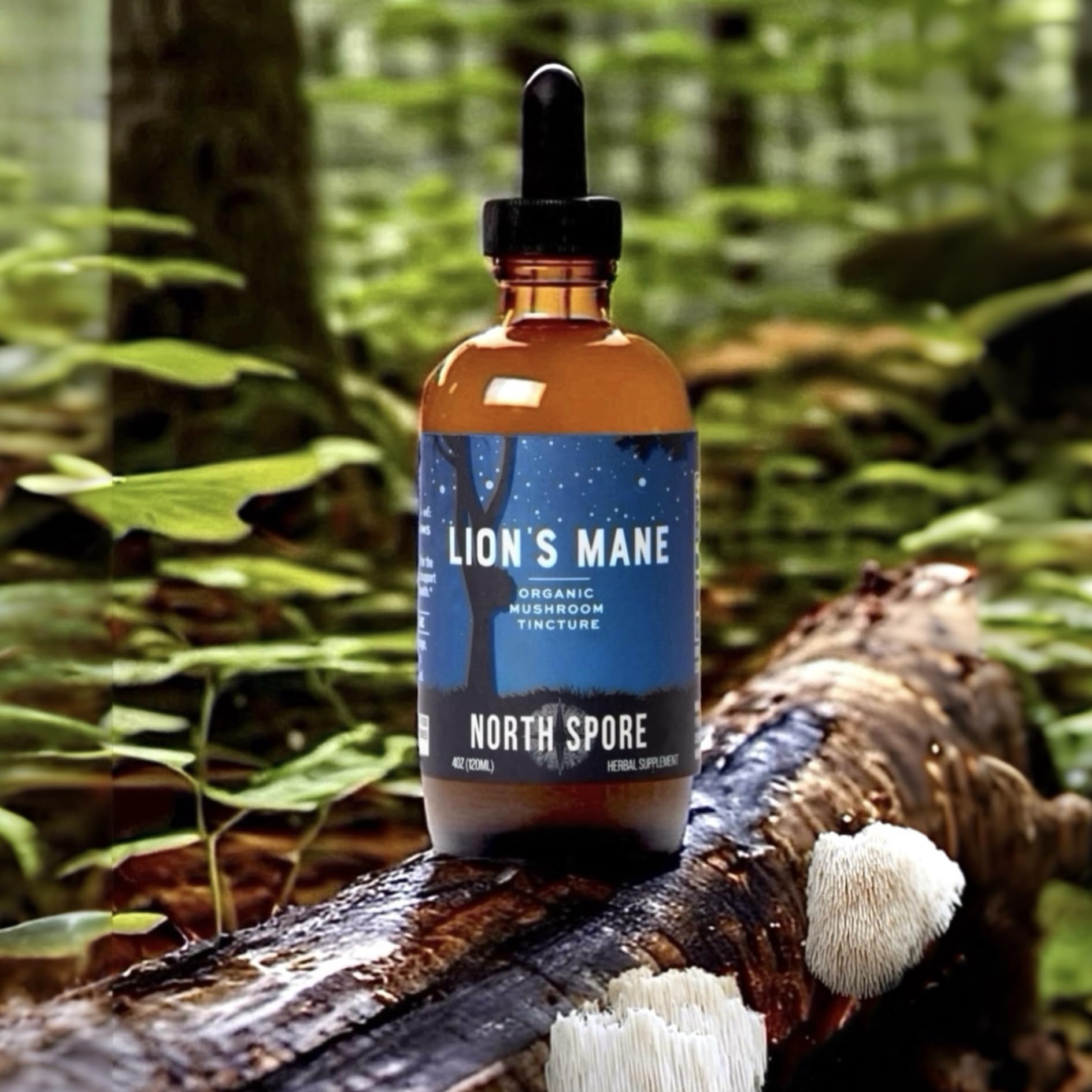 North Spore Organic Lion's Mane Mushroom Tincture (4 oz) | 100% Fruiting Body Extracts | for Focus, Memory, Brain Support | Certified Organic, Vegan, Non-GMO | Adaptogenic, Nootropic | Made in USA