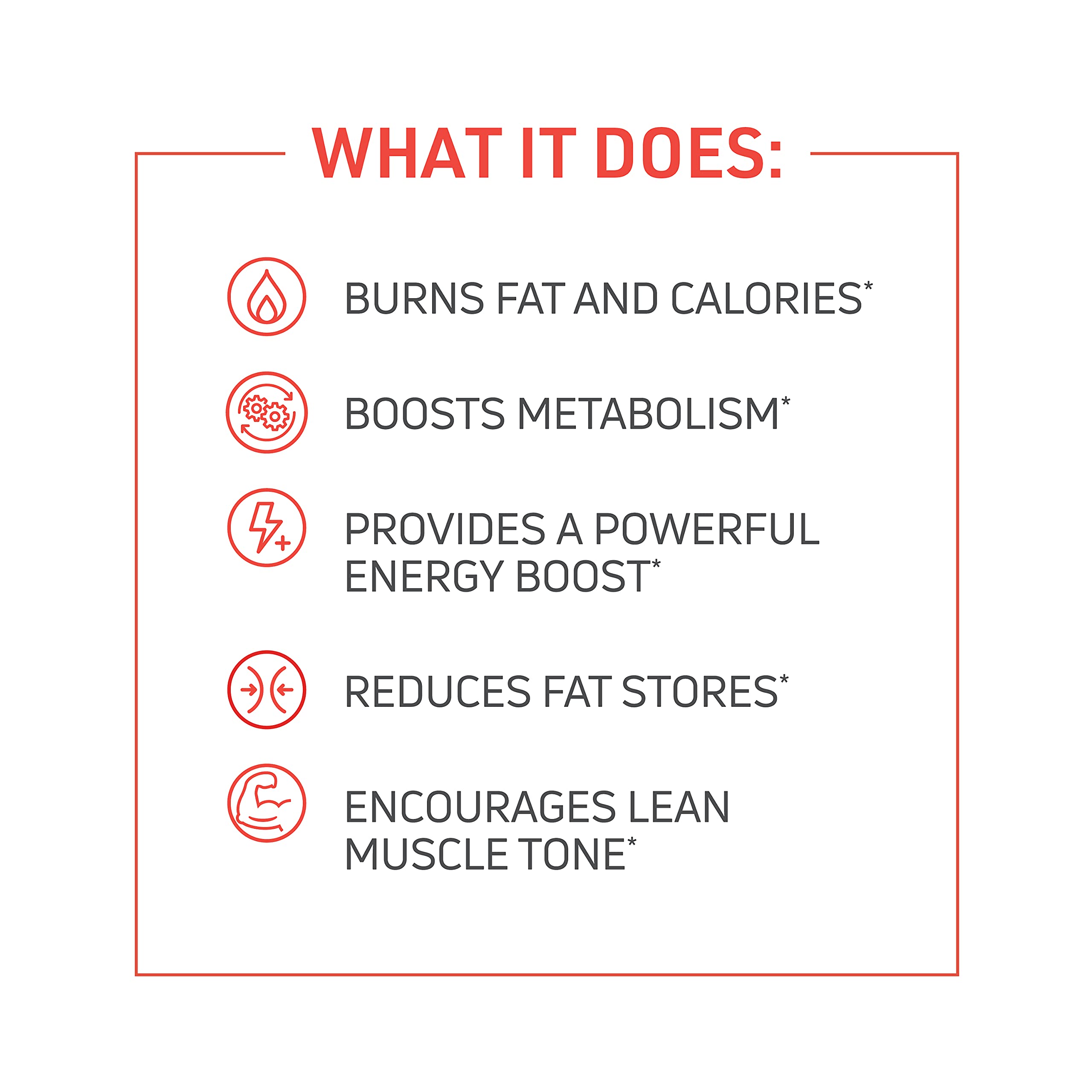 Novex Biotech ThermoDyne – Thermogenic Fat Burner for Men | 120 Count