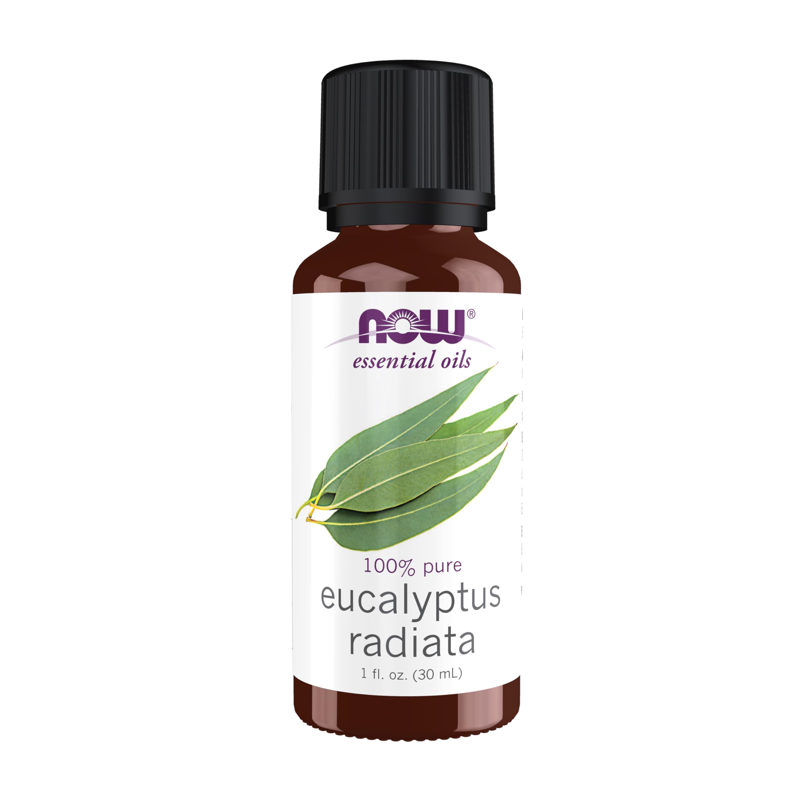 NOW Essential Oils Eucalyptus Radiata Oil - 100% Pure, Steam Distilled, 1 oz