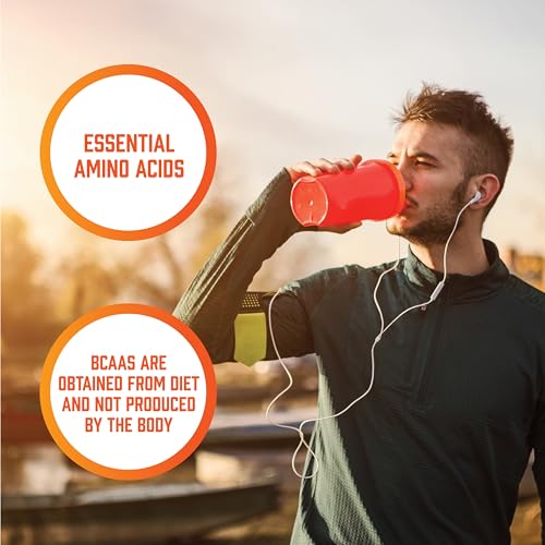 NOW Foods Sports Nutrition BCAAs with Leucine, Isoleucine & Valine | 240 Veg Capsules