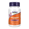 NOW Foods Pycnogenol 100 mg with Amla – 60 Veg Capsules