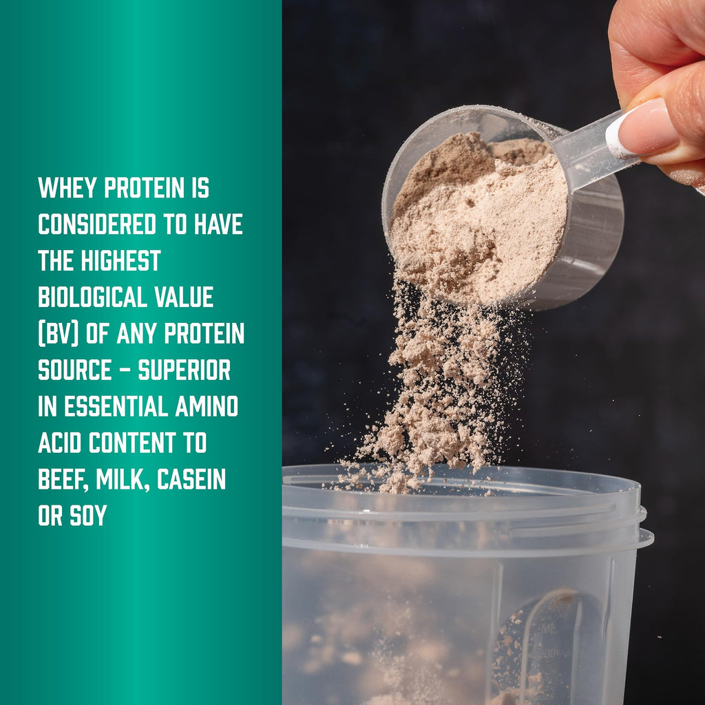 NOW Foods Whey Protein with BCAAs, Creamy Vanilla, 26 g Protein per Serving - 10 lb