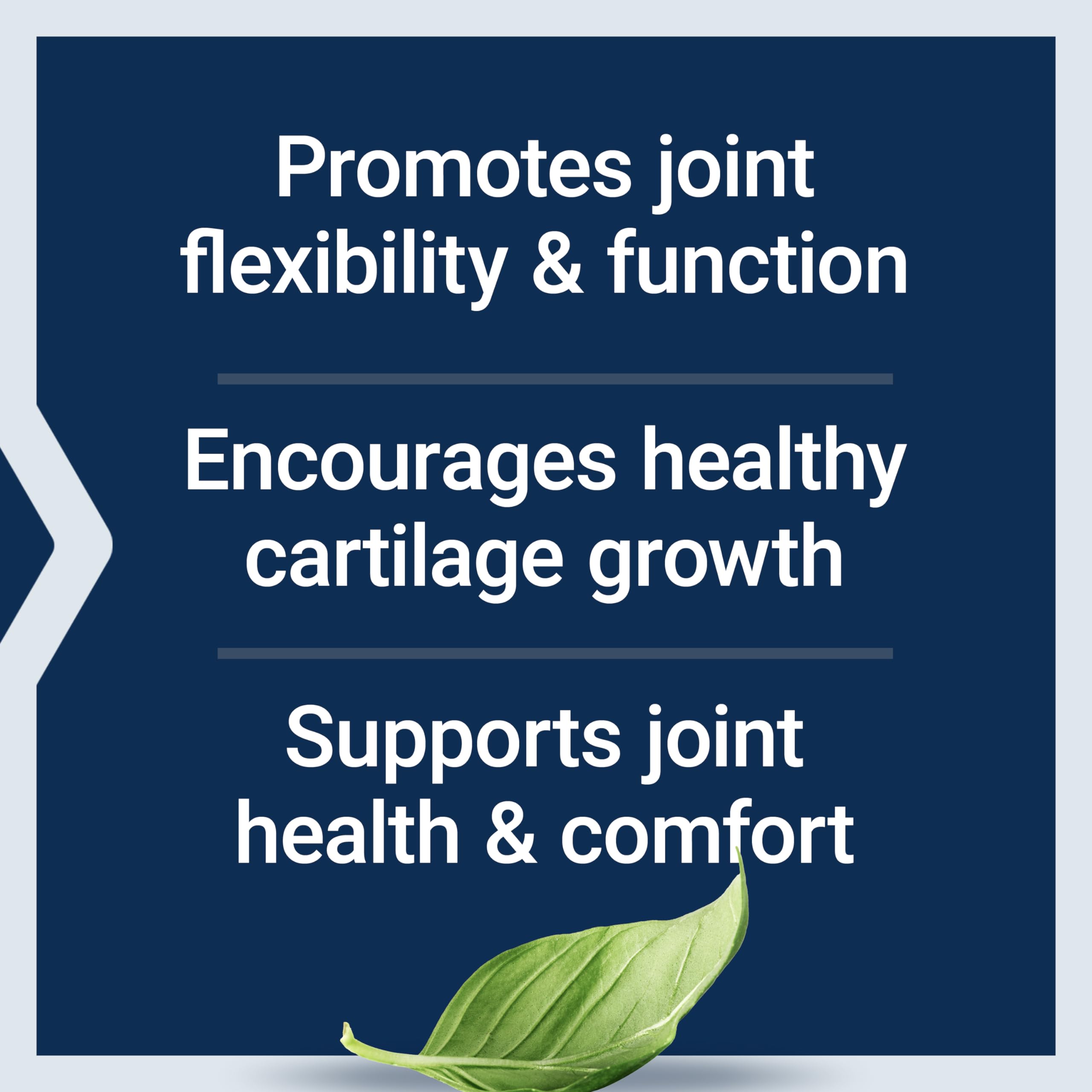 Life Extension NT2 Collagen — Joint Health & Mobility, 60 Small Capsules