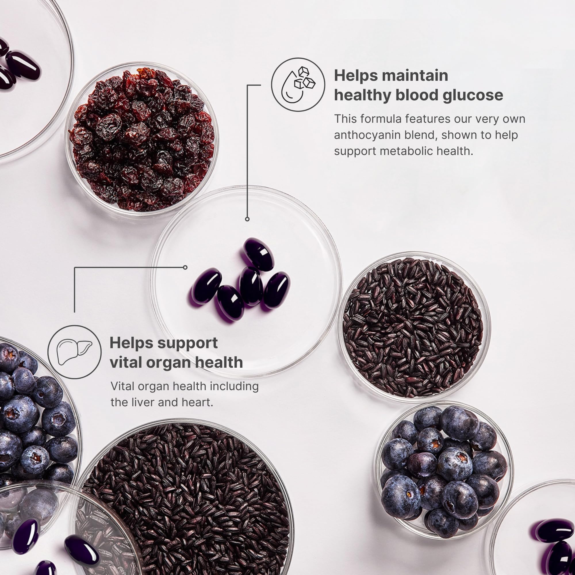 Nu Skin ageLOC Meta | Premium Dietary Supplement for Metabolic Health, Immune Support & Antioxidant Defense