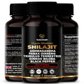 NuetonHealth Shilajit Fusion Capsules – Vegan, Gluten-Free Vitality Blend