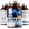 Number One Nutrition Premium Alpha GPC Choline Capsules 600mg – Natural Brain Support for Focus, Memory, Clarity & Energy | 120 Veg Caps