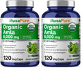 NusaPure Organic Amla Capsules 10:1 Extract – 6000mg Amla per Serving | 120 Veggie Capsules | Pack of 2 | USDA, Vegan, Non-GMO