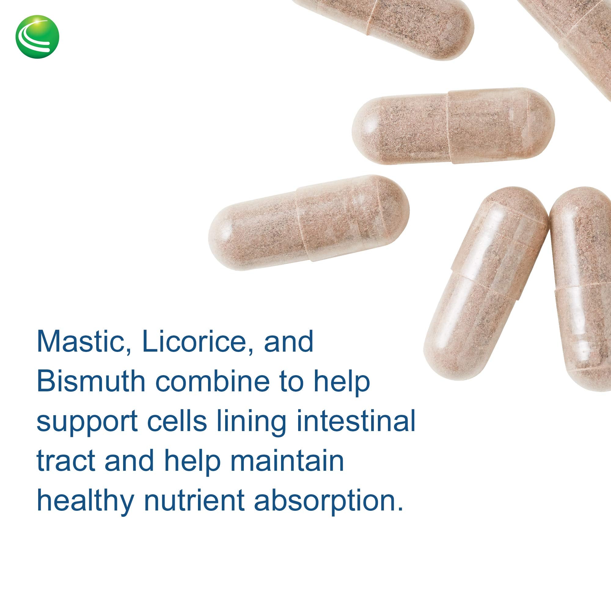 Nutra Biogenesis Gastric Support Complex – DGL Licorice & Mastic Gum | 60 Caps