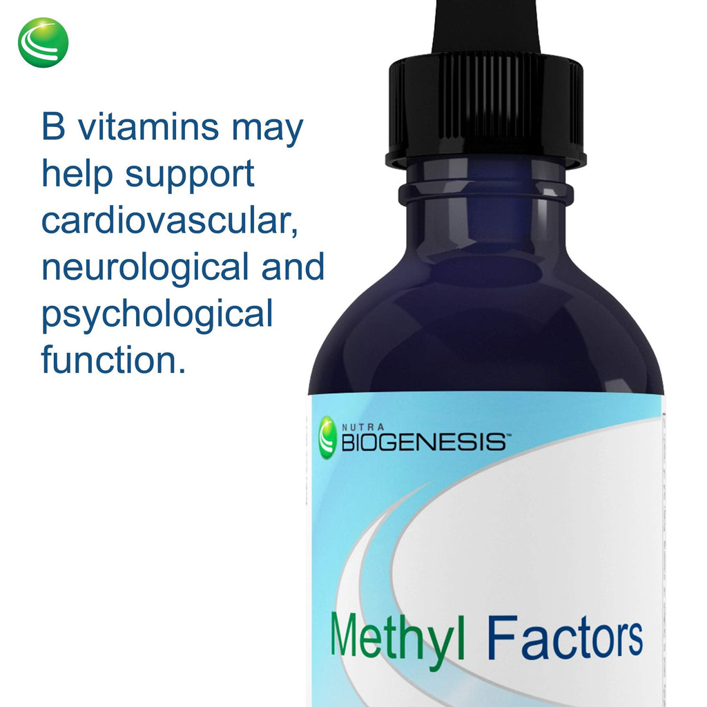 Nutra Biogenesis Methyl Factors – Vitamin B12 & Methylfolate Drops (Sugar-Free Sublingual) 2 fl oz