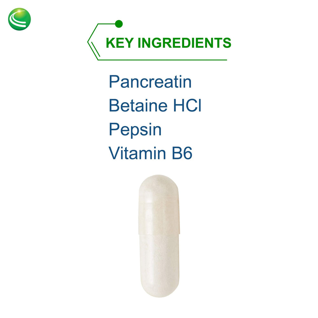 Nutra Biogenesis PanZyme - Betaine HCl with Pancreatin, Lipase & Protease | 180 Capsules
