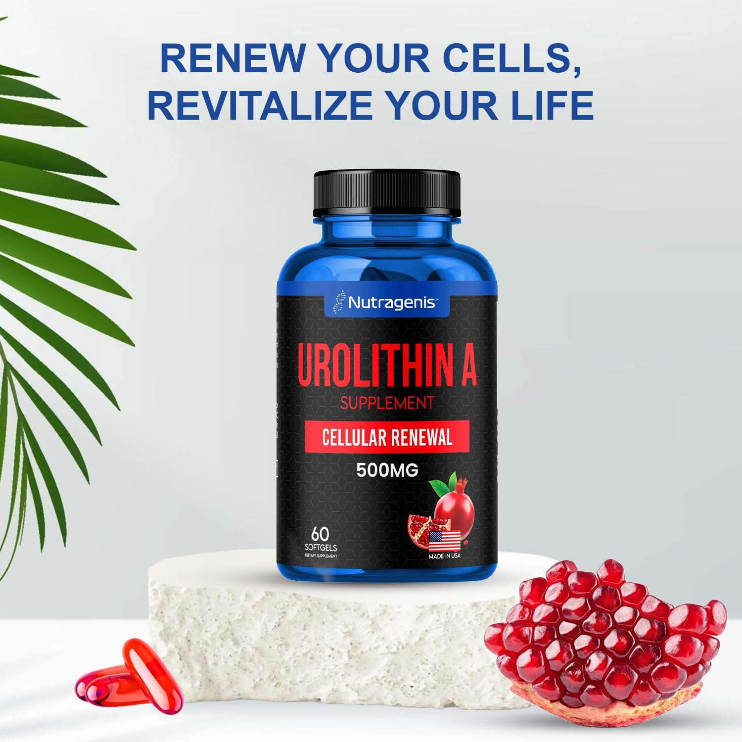 Nutragenis Urolithin A 500mg Softgels – Advanced Mitochondrial Support