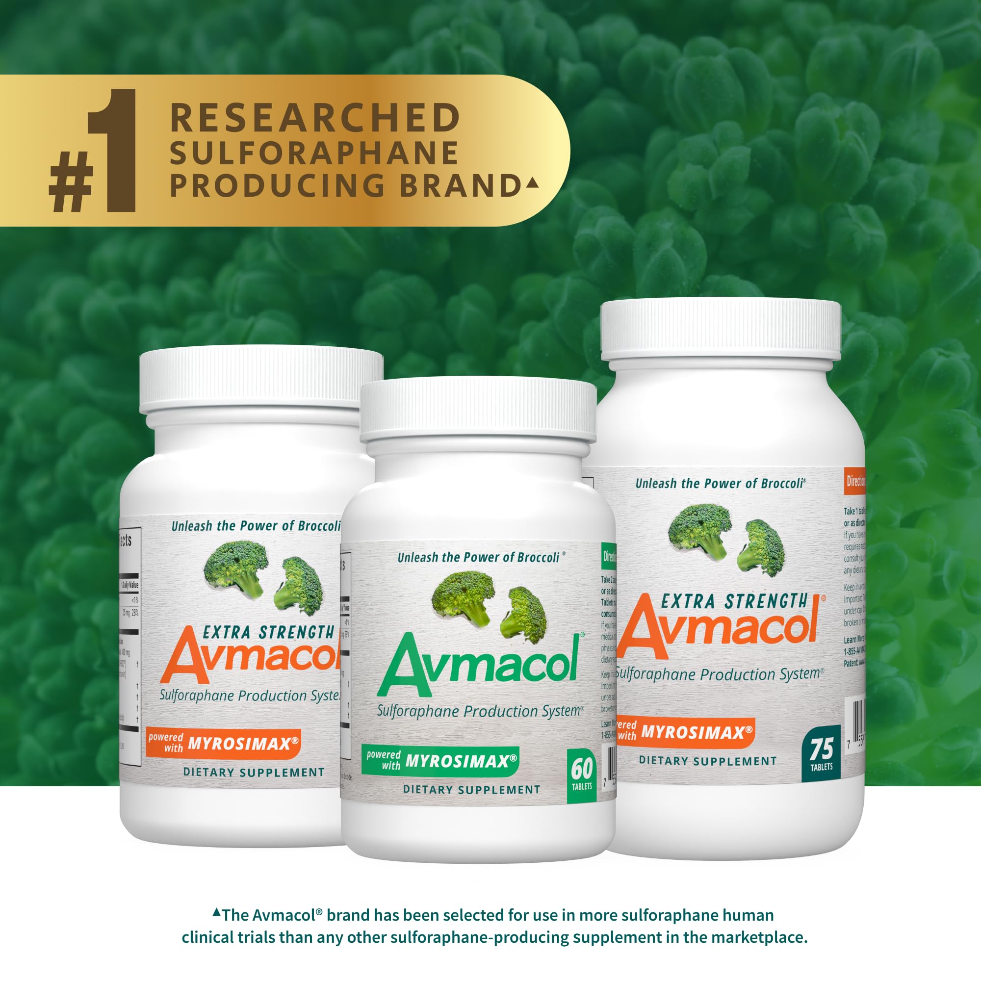Nutramax Avmacol #1 Researched Sulforaphane Brand | 60 Tablets