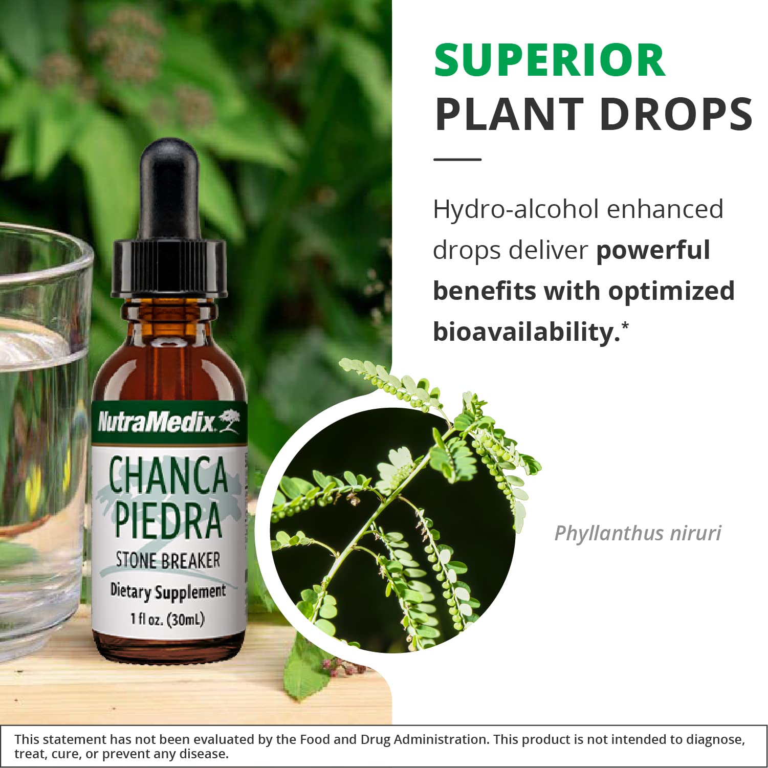 NutraMedix Chanca Piedra Stone Breaker Drops - Liquid Kidney & Liver Health Supplement (1oz / 30ml)