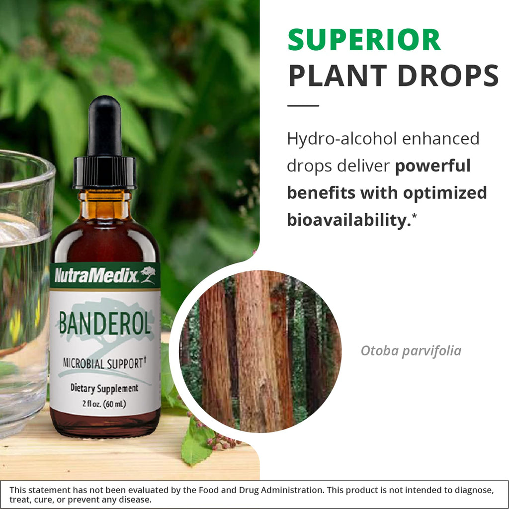 NutraMedix Banderol Daily Immune Support Tincture — Vegan Otoba Bark Drops (1 oz)