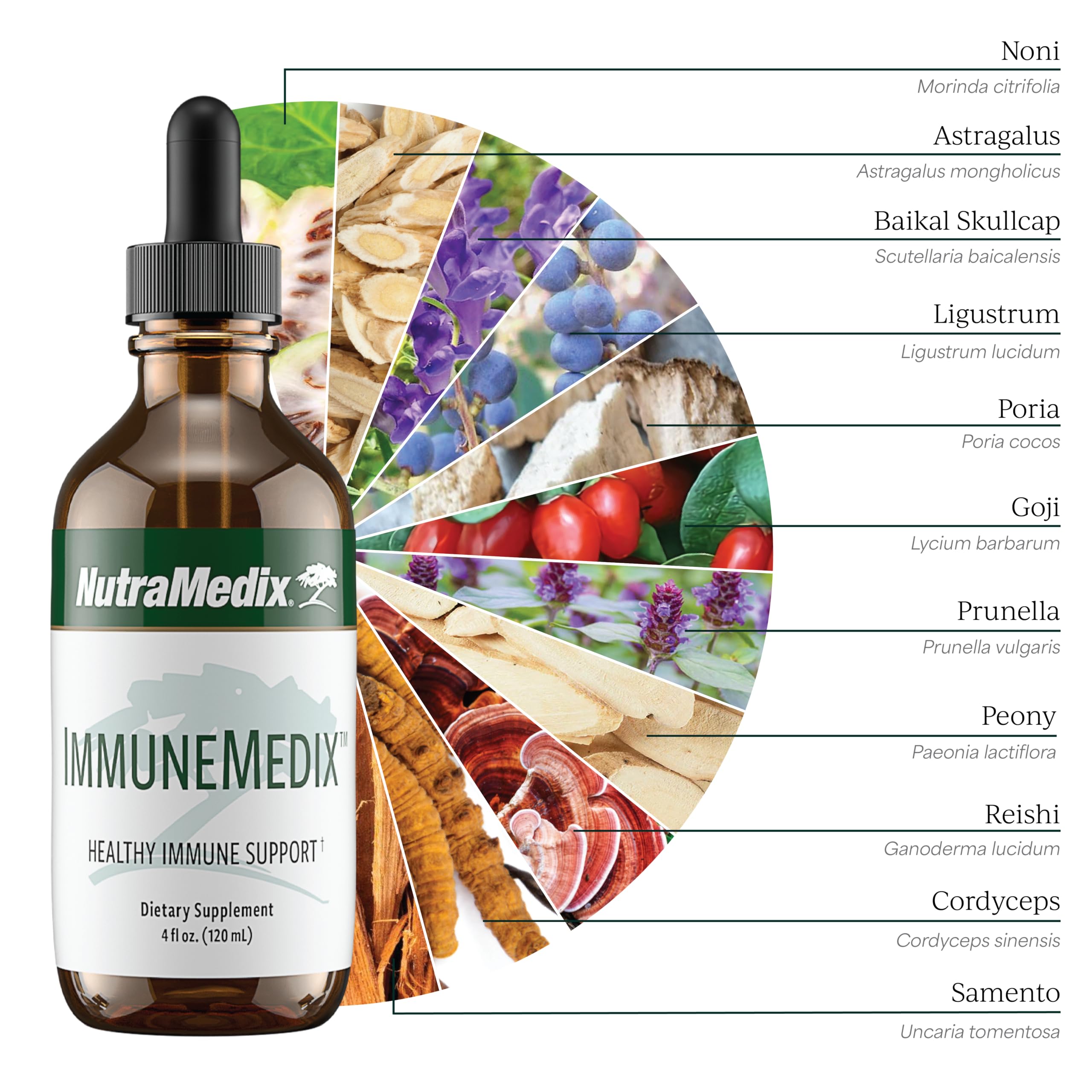 NutraMedix ImmuneMedix – Seasonal Immunity Support with 11 Plant & Mushroom Extracts (4 oz) | Broad-Spectrum Bioavailable Immunity