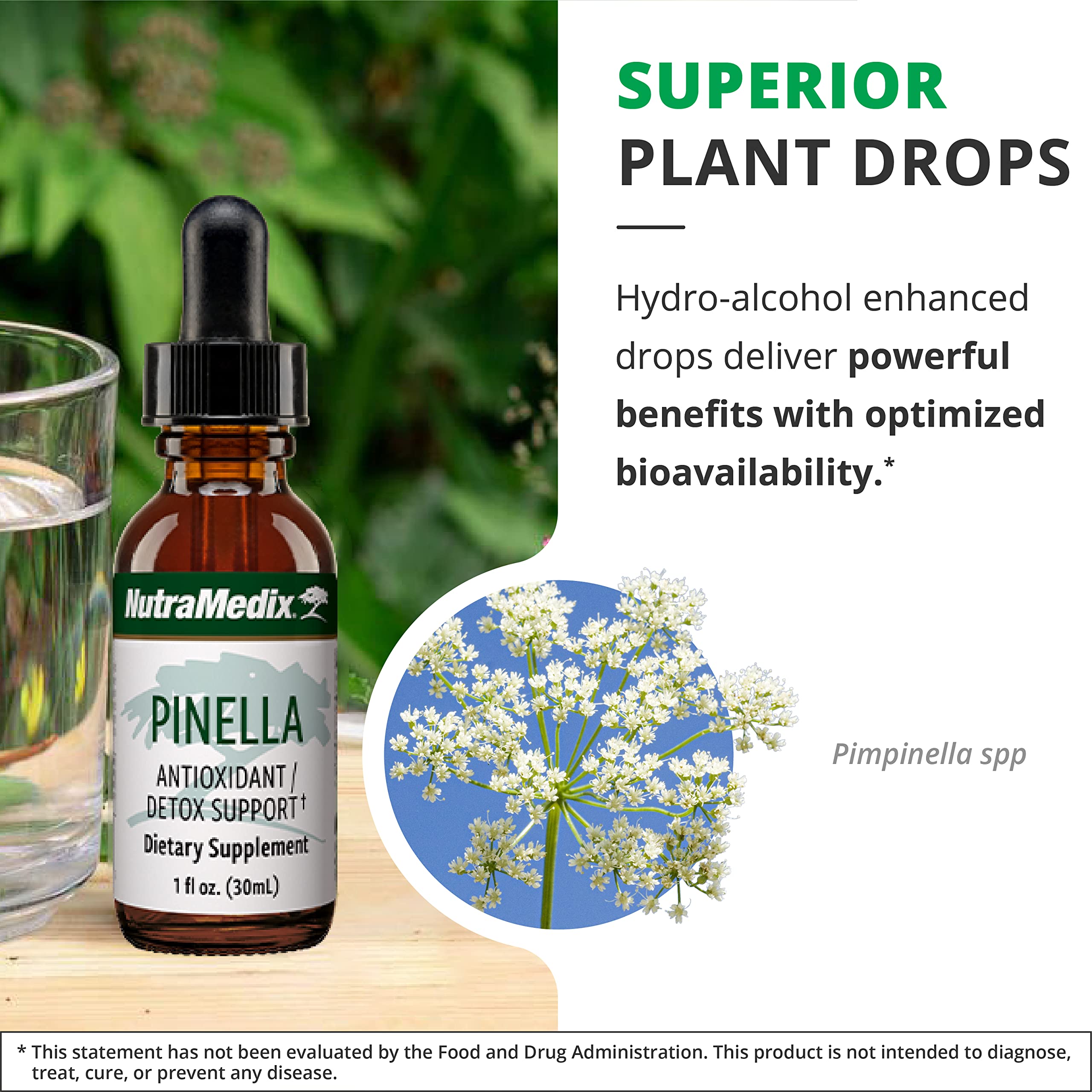 NutraMedix Pinella – Liquid Anise Drops for Detox, Focus & Brain Health (1 oz / 30 ml)