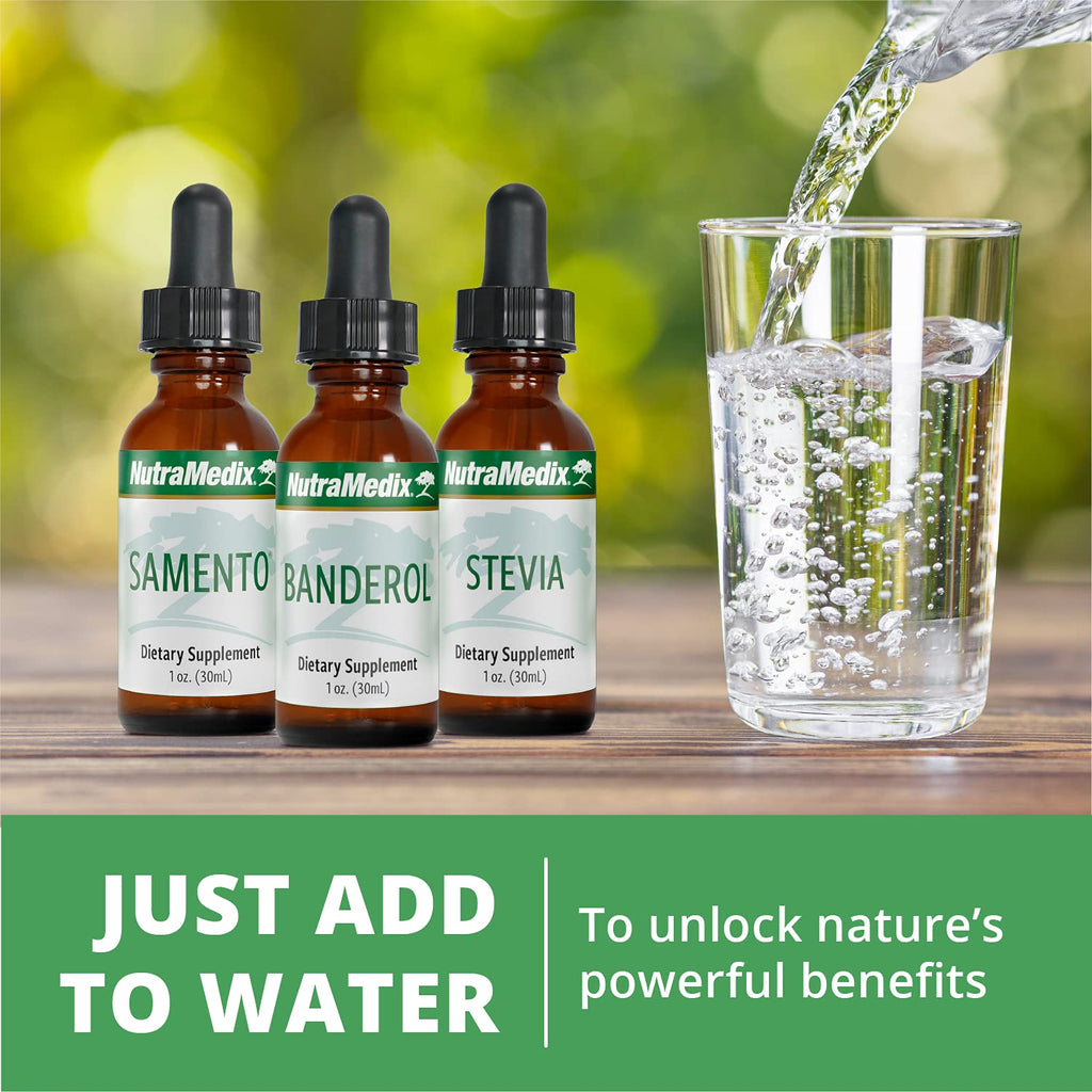NutraMedix Teasel Root Wellness Drops – Fuller’s Teasel Extract | Antioxidant Support (1oz/30ml)