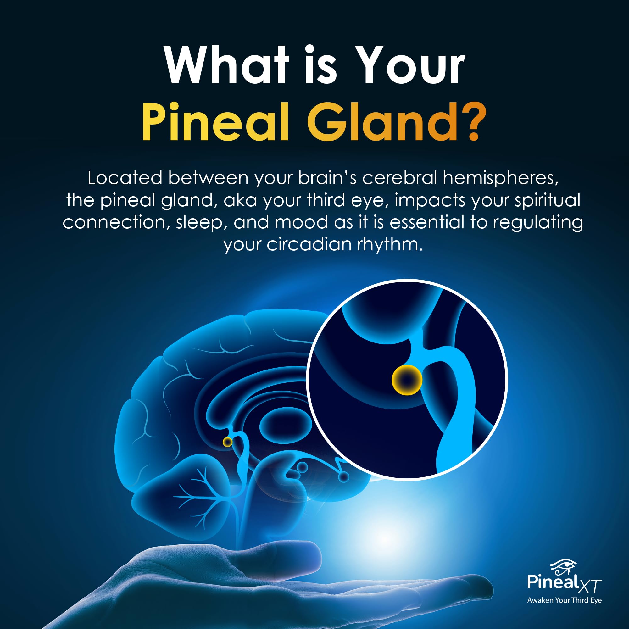 Nutraville Pineal XT Gold — Pineal Gland Support, 3-Pack