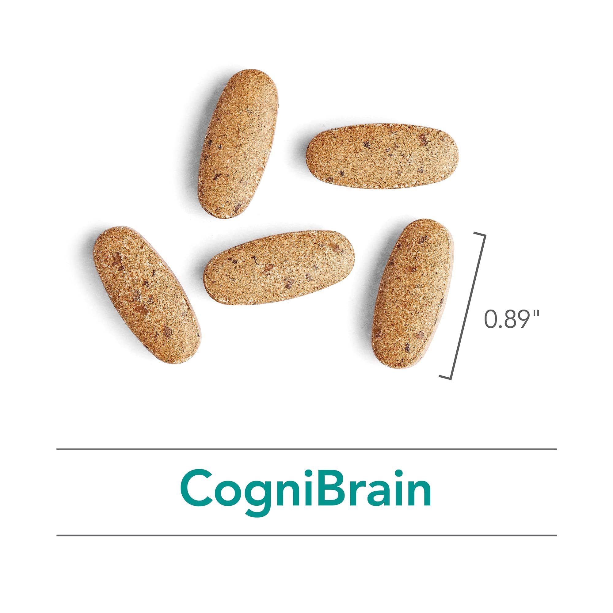 Nutricology Cognibrain – Memory & Focus Support with Lion's Mane, 90 Count
