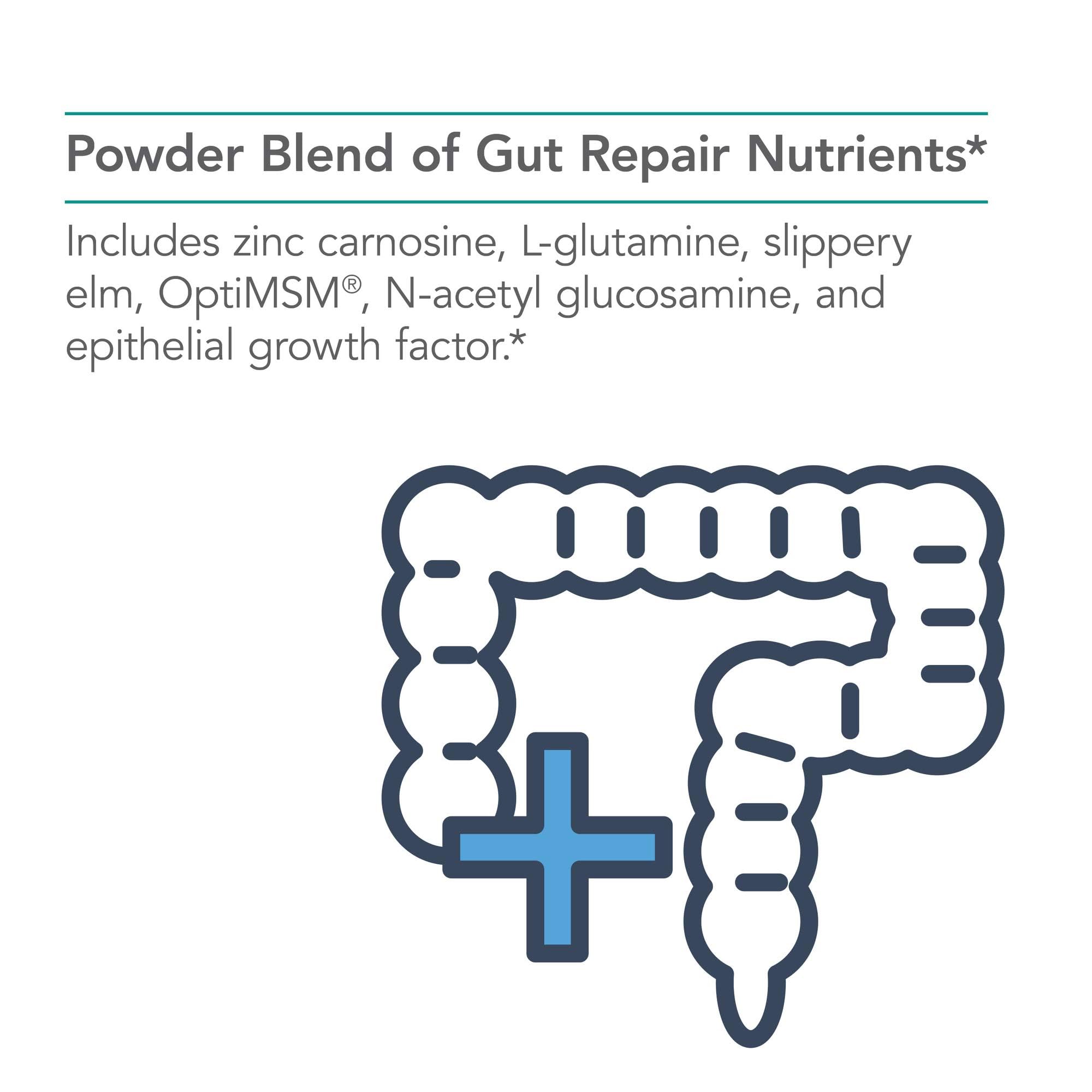 Nutricology Perm A Vite Powder – Gut Health, L-Glutamine & Slippery Elm (8.4 oz)
