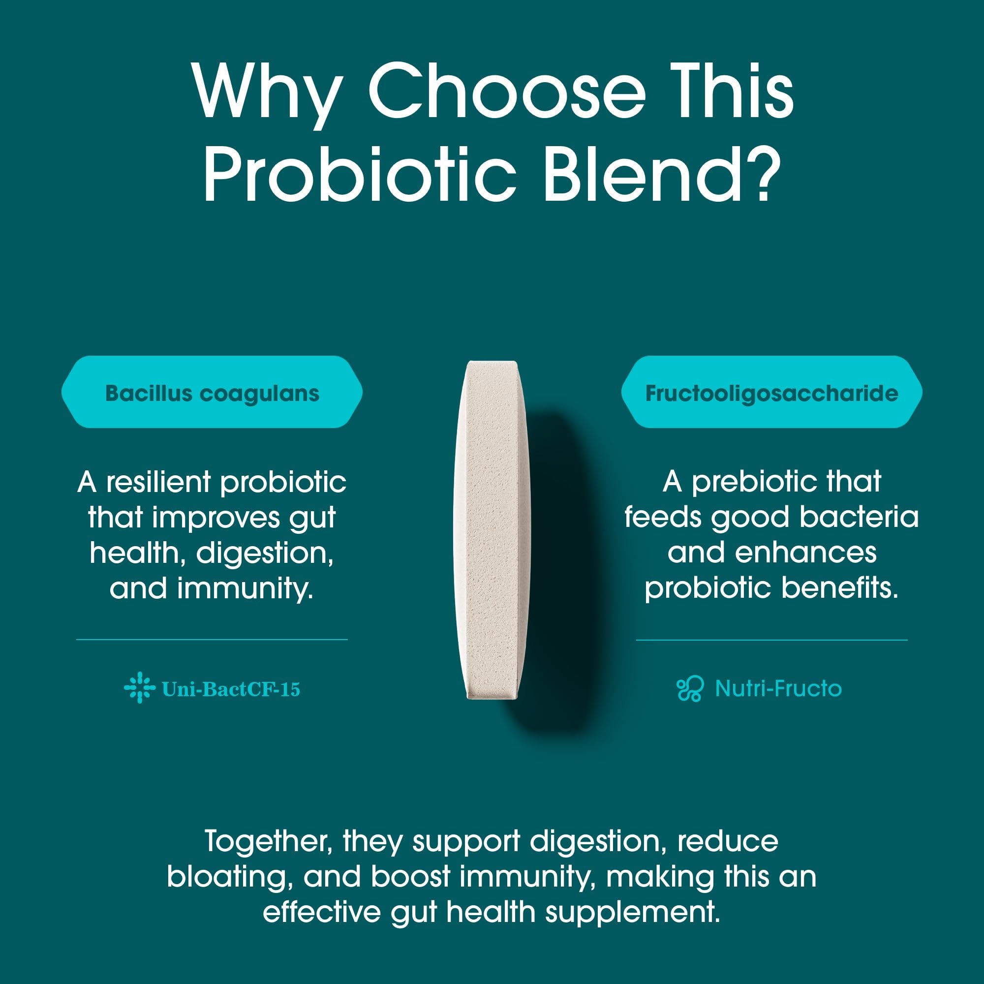 Nutrition Essentials GMP Certified Probiotic Dietary Supplement – 6 Bottles, 360 Capsules