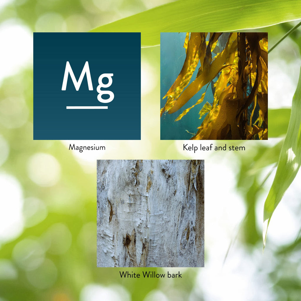 Nature's Sunshine Magnesium 250 mg - 180 Tablets | Supports Nervous & Structural Systems