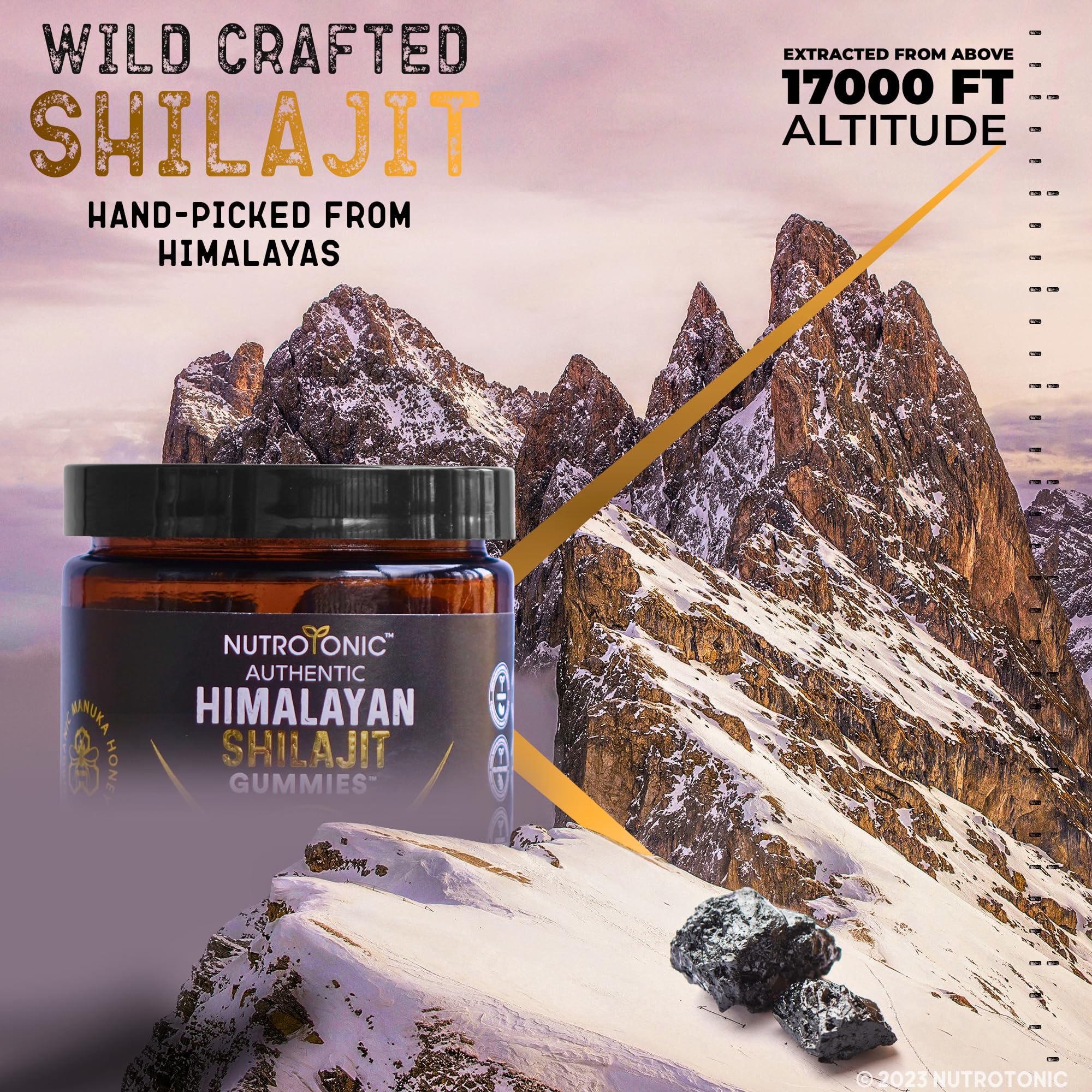NutroTonic Organic Himalayan Shilajit Gummies – Pomegranate & Vanilla Flavor | Made in USA