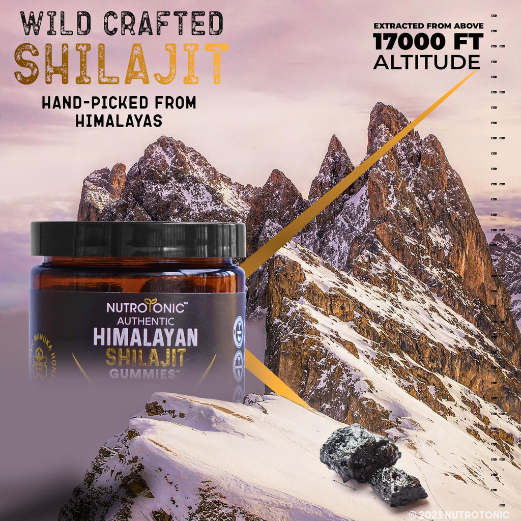 Organic SHILAJIT Gummies by NutroTonic | Cane Sugar Free, Organic Manuka Honey | 30 Gummies