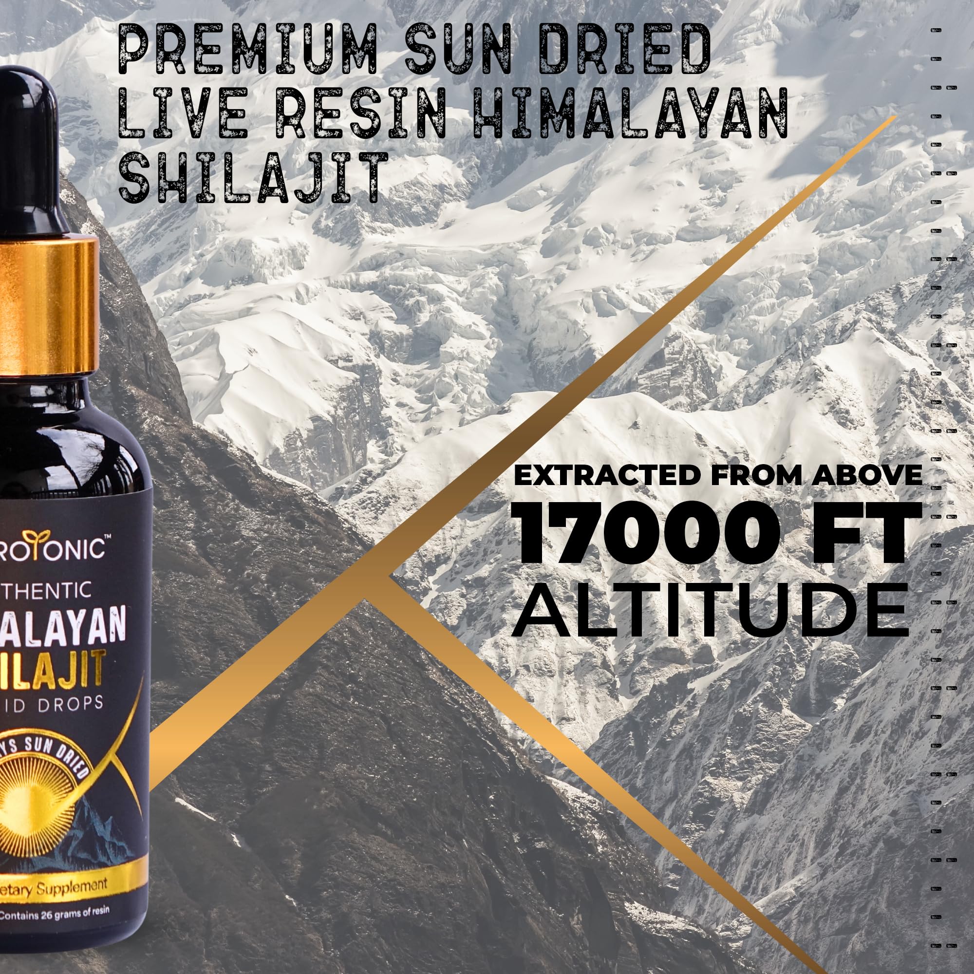 NutroTonic Himalayan Shilajit Liquid Drops - 30ml, 60 Days Sun-Dried, Gold Grade A+