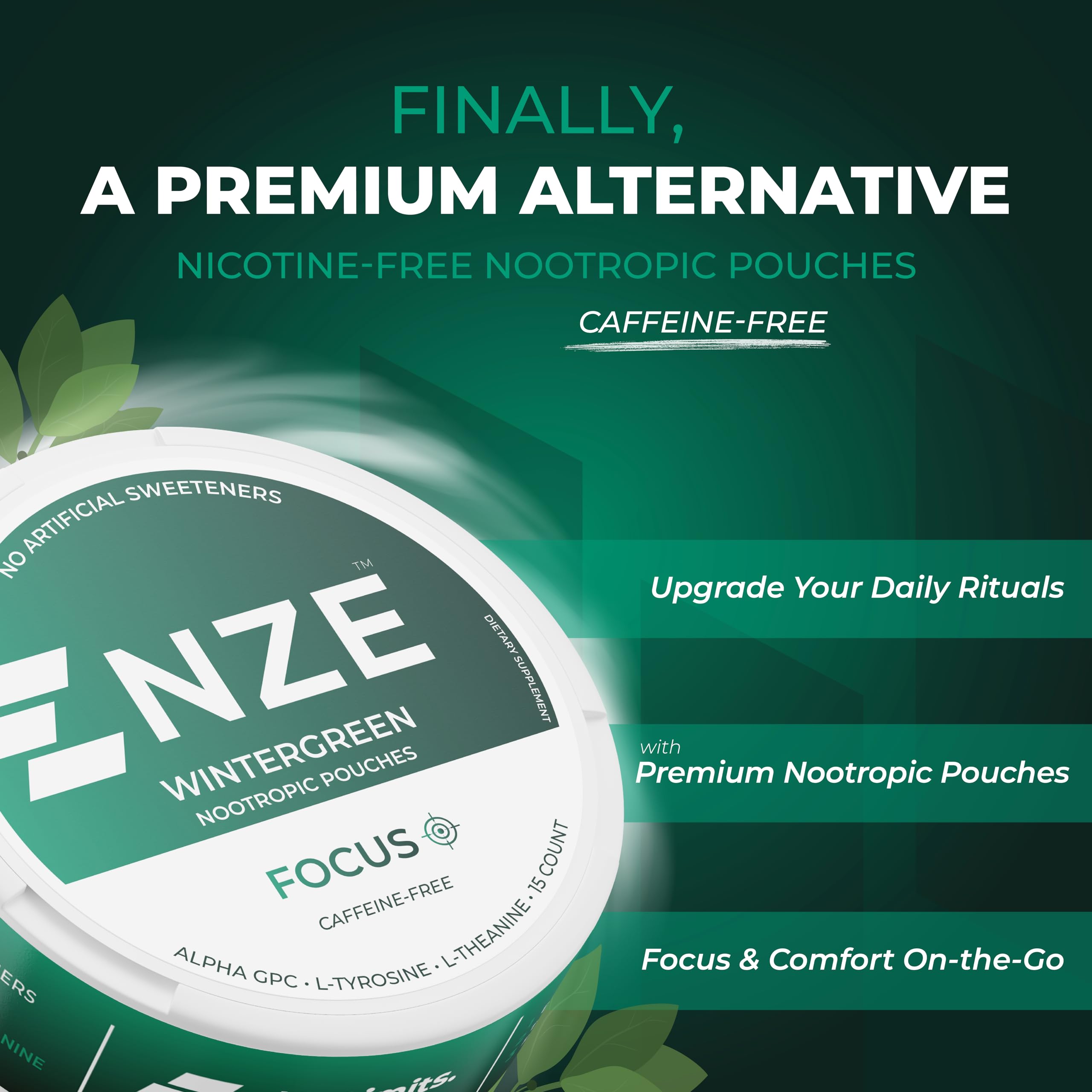 NZE Caffeine Free Nootropic Pouches (Wintergreen) – 15 Pouches Per Can – 5 Pack