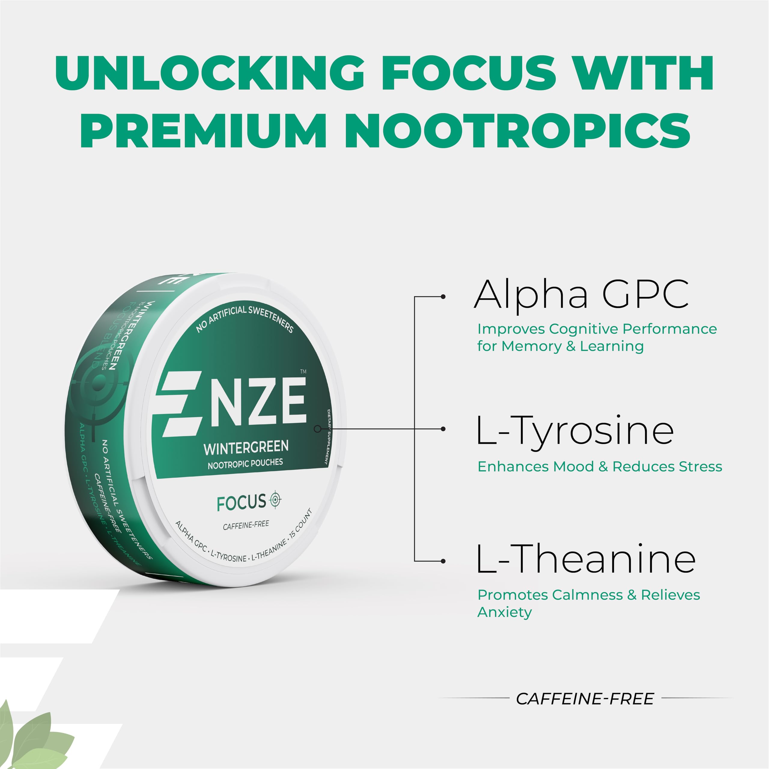 NZE Caffeine Free Nootropic Pouches (Wintergreen) – 15 Pouches Per Can – 5 Pack