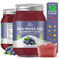 OALSE Sea Moss Gel - 18.5oz Blueberry Flavor | Raw Sea Moss Gel with Minerals, Proteins & Vitamins - Vegan-Friendly