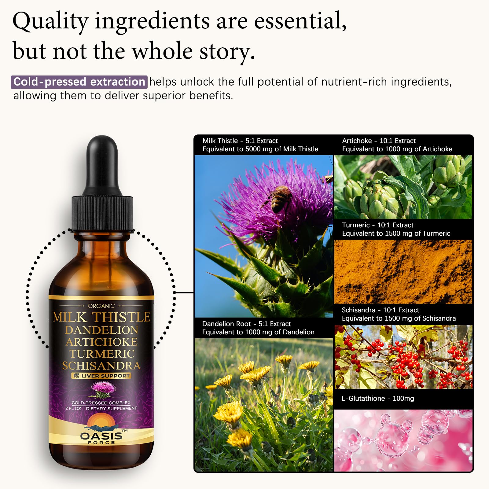 Oasisforce Organic Milk Thistle Liquid Drops for Liver Support – 2 fl oz