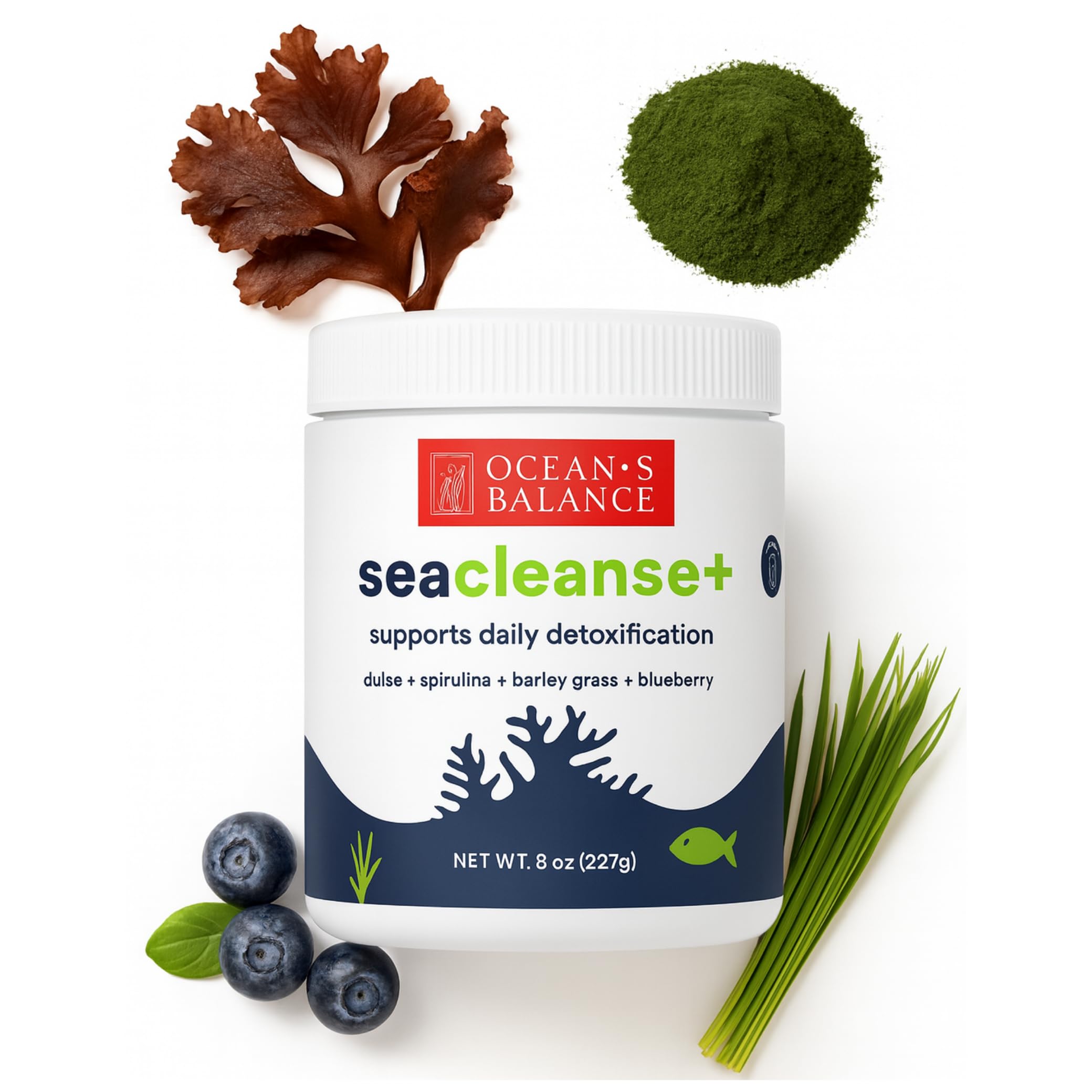 Ocean's Balance Seacleanse+ Daily Detox Powder – Gut Health & Immune Support | 8oz