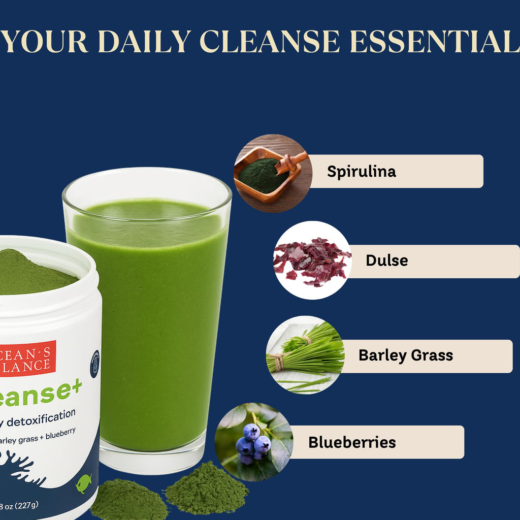 Ocean's Balance Seacleanse+ Daily Detox Powder – Gut Health & Immune Support | 8oz