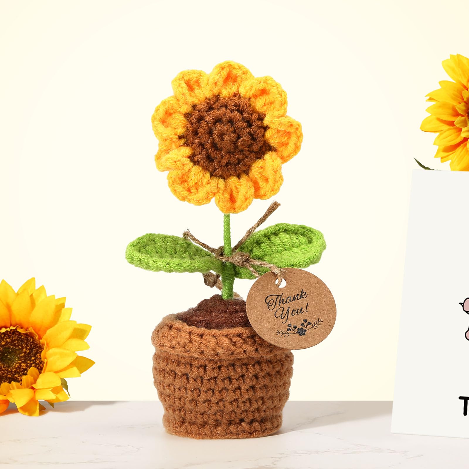 Chaos Coordinator Gifts for Women – Thank You Gifts for Coworkers & Boss Lady