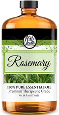 Oil of Youth 16oz Rosemary Essential Oil | Premium Rosemary Oil