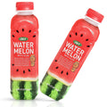 OKF Watermelon Aloe Vera Drink – Real Juice & Gel, 16.9 oz (6 Pack)