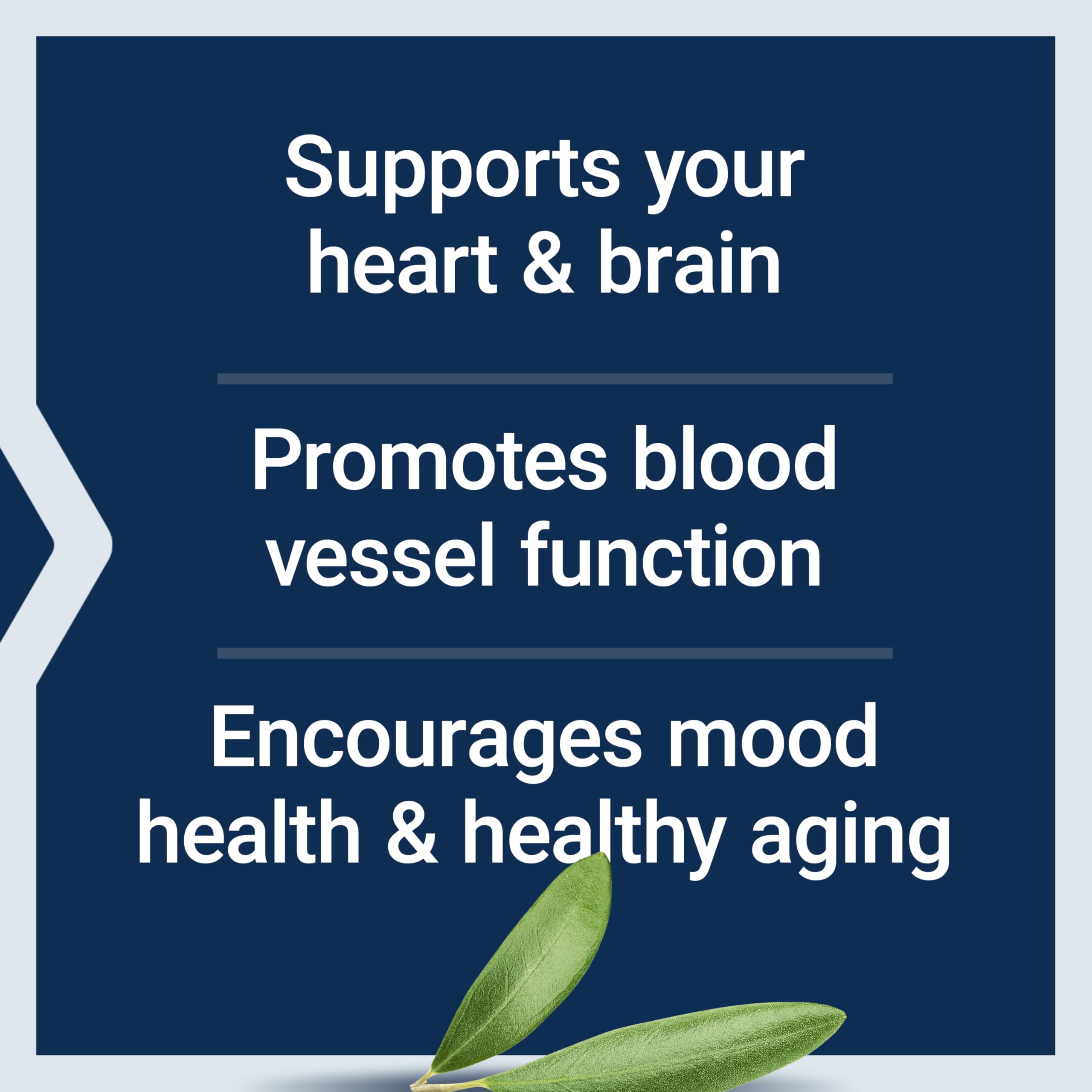 Life Extension Super Omega-3 EPA/DHA with Sesame Lignans & Olive Extract – Heart & Brain Health (120 Softgels)