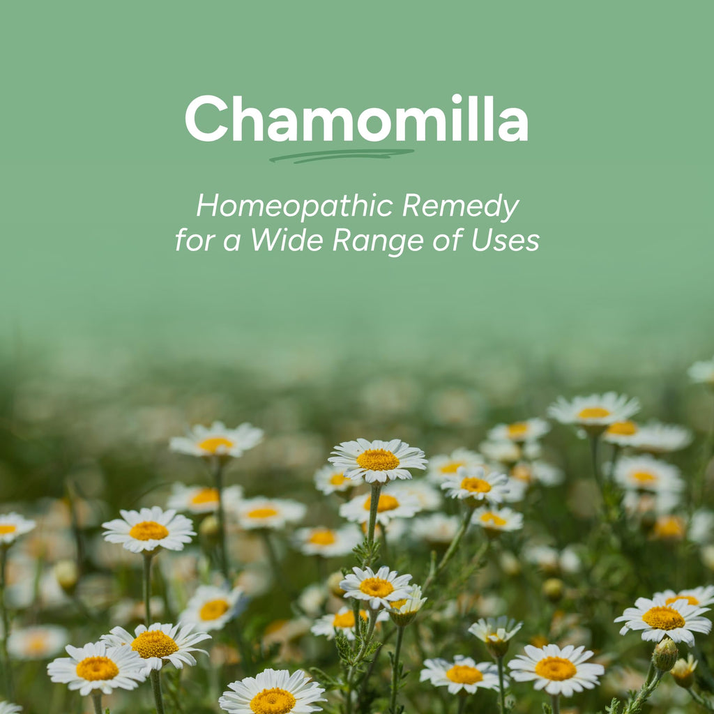 OLLOIS Chamomilla 30C Organic, Lactose-Free, Kosher Homeopathic Medicine | 80 Pellets (Pack of 3)