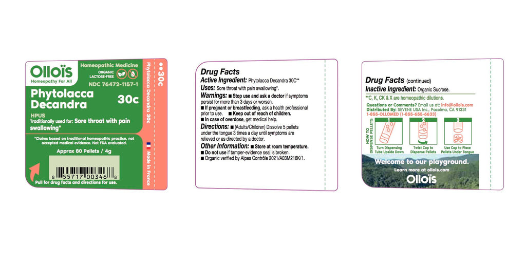 OLLOIS Phytolacca Decandra 30c - Organic Lactose-Free Homeopathic Medicine - 80 Pellets (Pack of 1)