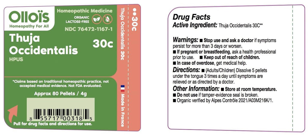 OLLOIS Thuja Occidentalis 30c Organic, Lactose-Free, Kosher Homeopathic Medicine, 80 Pellets (Pack of 3)