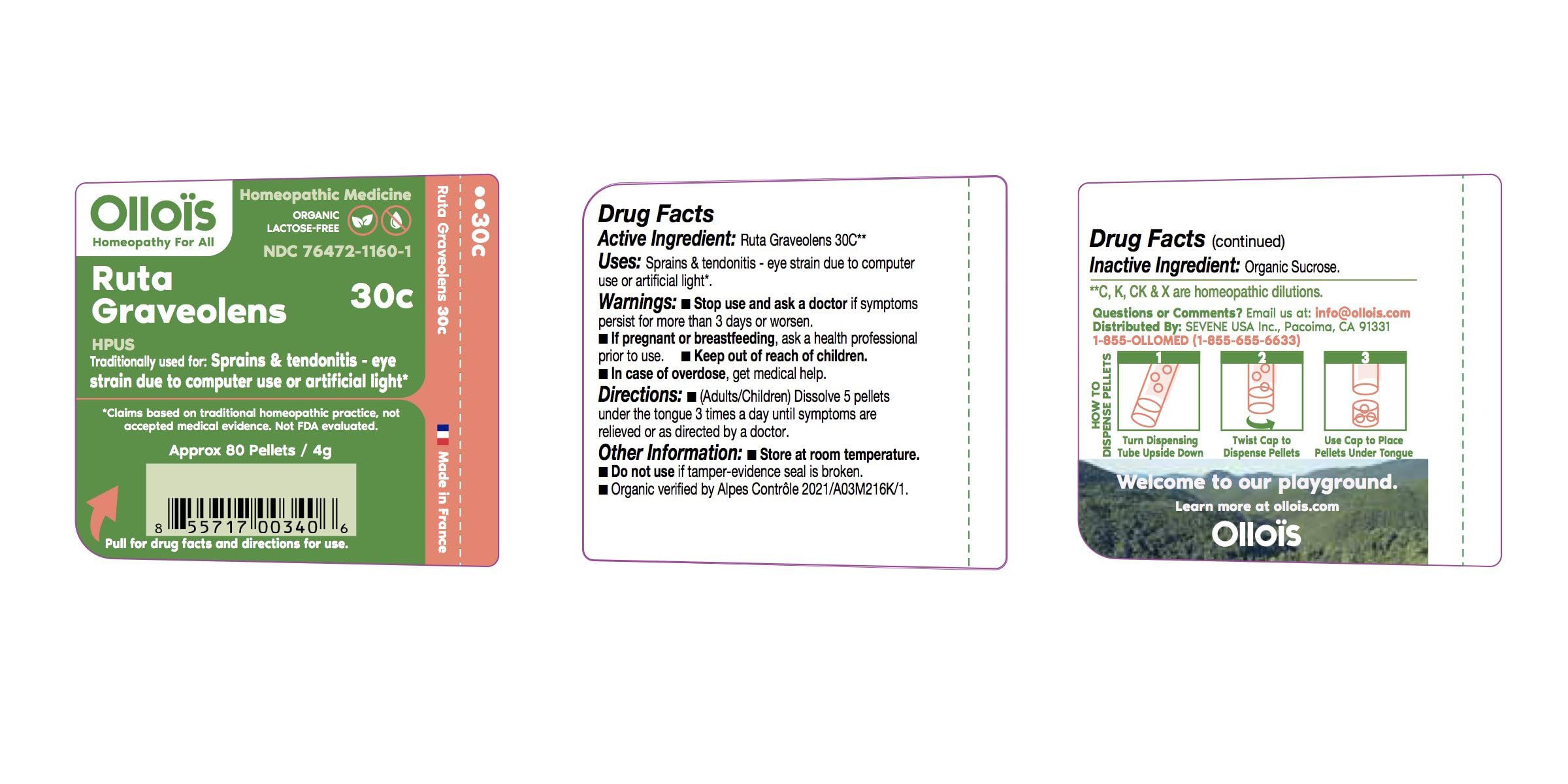 OLLOIS Ruta Graveolens 30c – Organic, Lactose-Free Homeopathic Medicine (80 Pellets, Pack of 1)