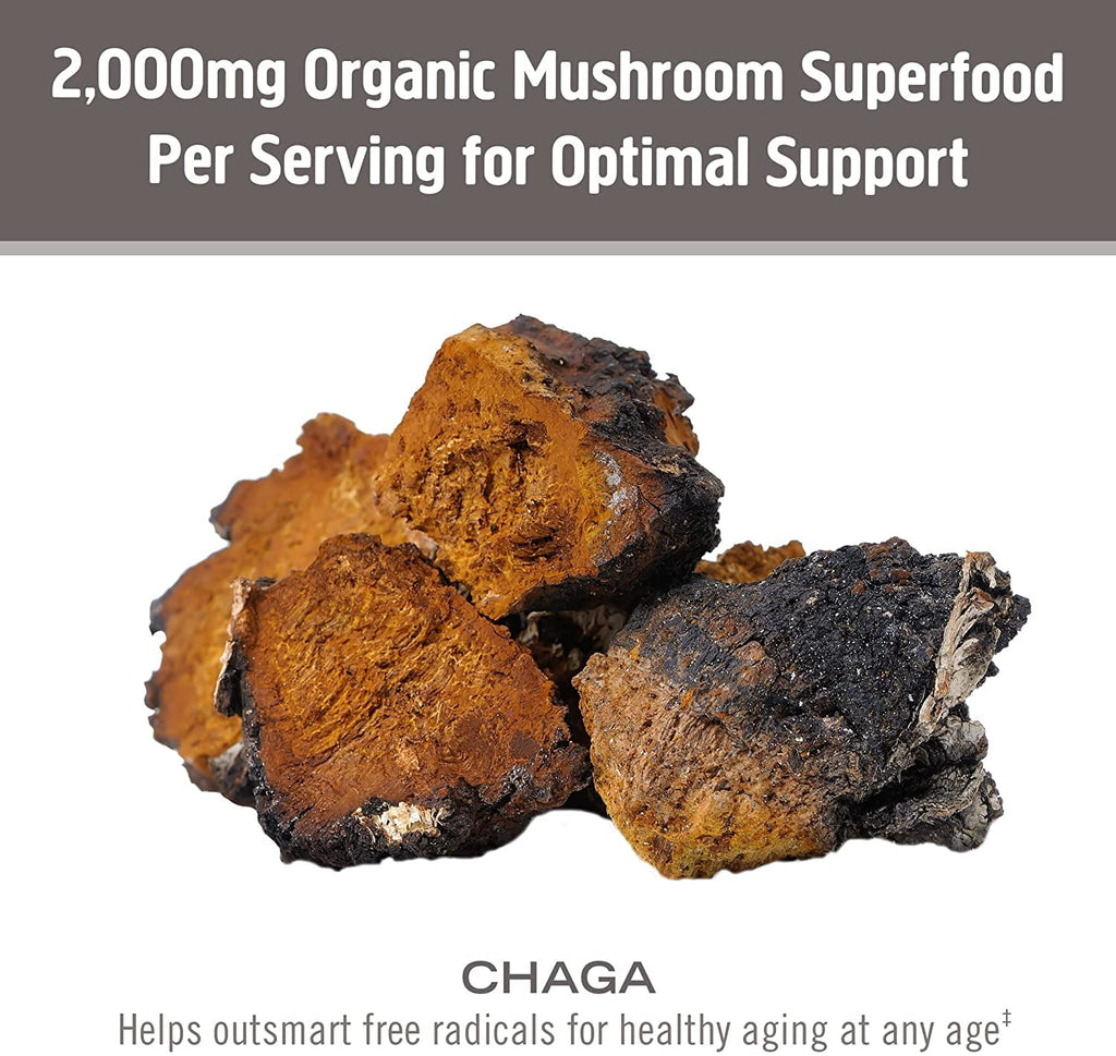 Om Mushroom Superfood Chaga Organic Mushroom Powder – 3.5 oz, 50 Servings, USA Grown | Antioxidants & Immune Support