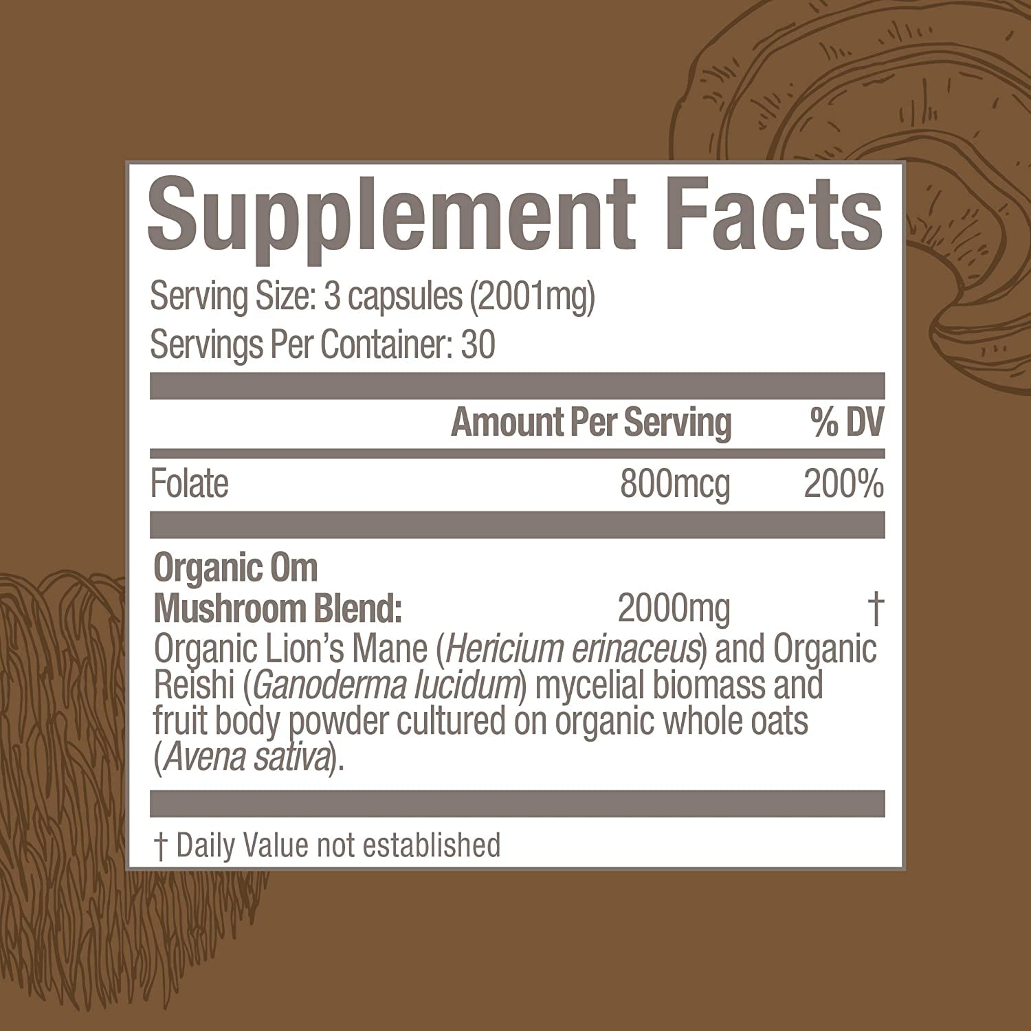 OM Mushroom Superfood Brain Fuel Capsules – Lion's Mane & Reishi Blend, 90 Count | Mental Clarity & Nerve Support