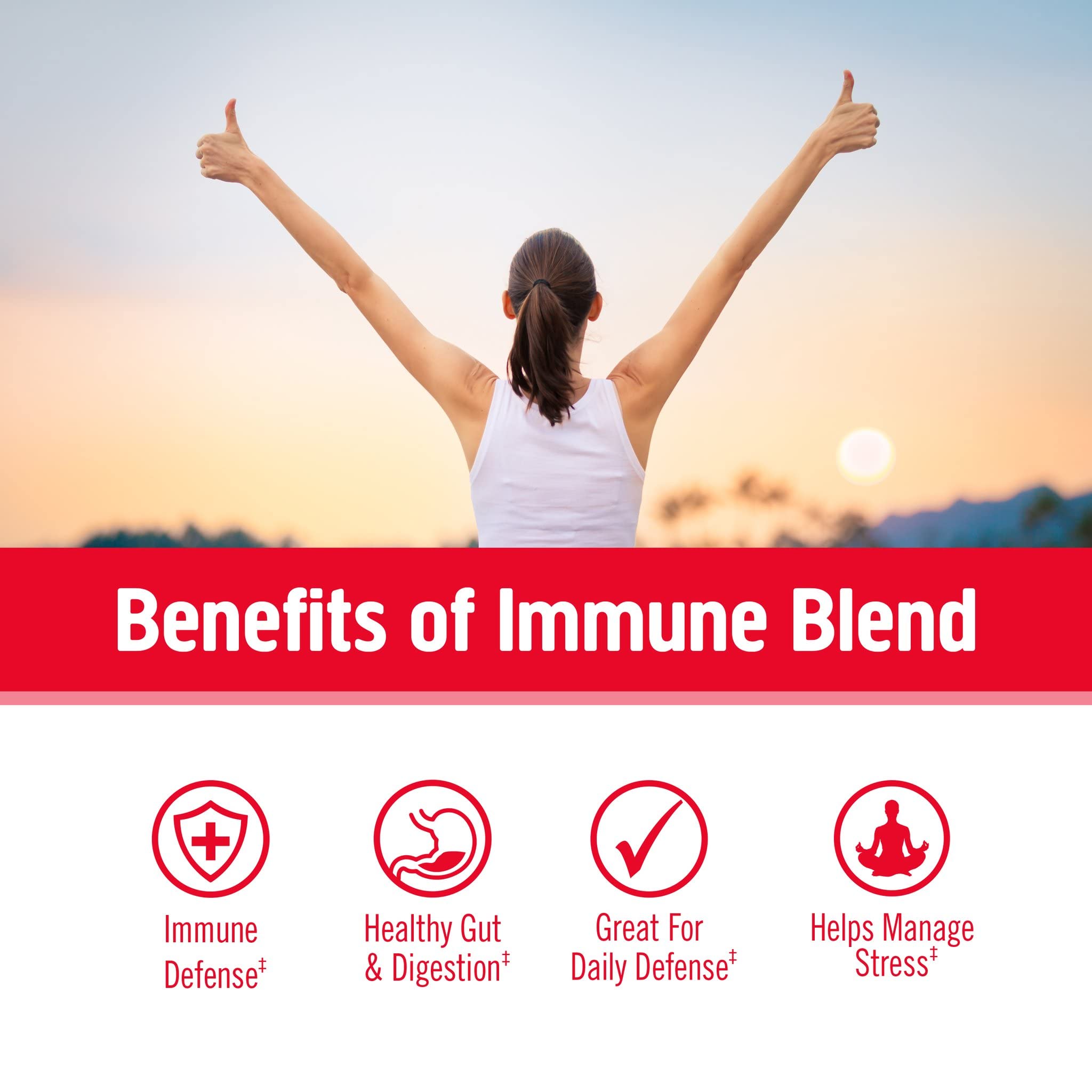 OM Mushroom Superfood Immune Blend Powder – 7.05 oz (100 Servings) Reishi & Turkey Tail