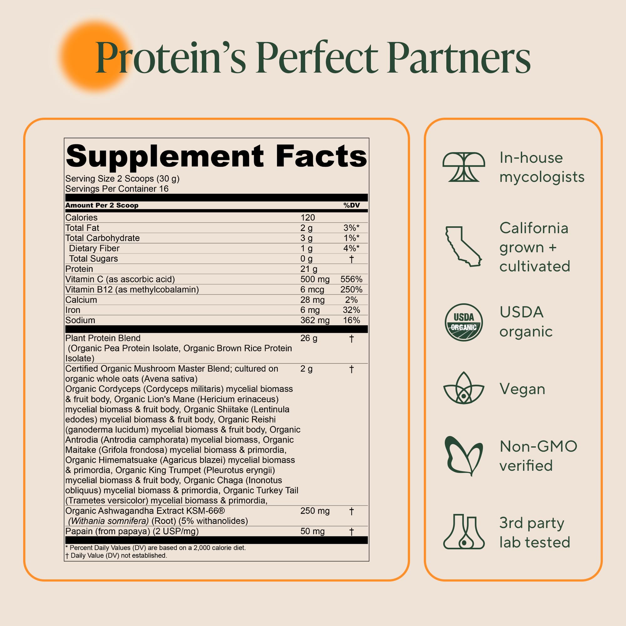 OM Mushroom Superfood Master Blend Vegan Protein – Unflavored, 10 Mushrooms, Ashwagandha, BCAAs & B12 | 1.2 lb